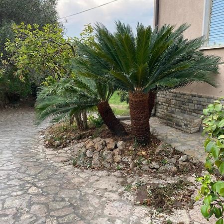 Il Giardino Delle Cycas Apartamento Romito Magra Exterior foto